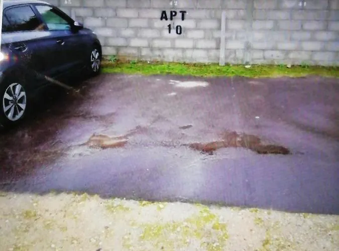 شقة Bel Avec Jardin A 50m Des Plages Du Debarquement